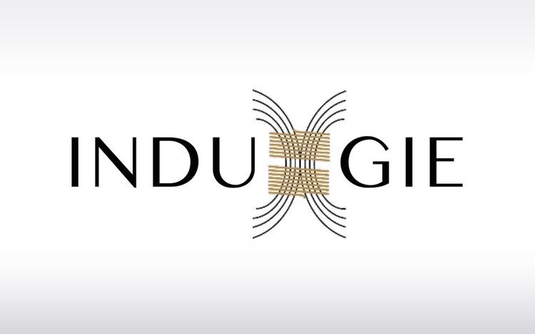 Logo des Forschungsprojekts INDUGIE mit grafischer Darstellung einer Spule und magnetischen Feldlinien.